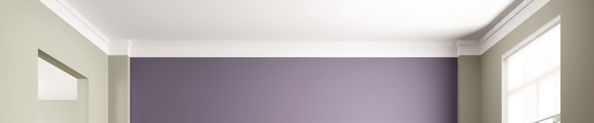 https://www.srpltd.co.nz/uploads/images/ceilings-banner.jpg